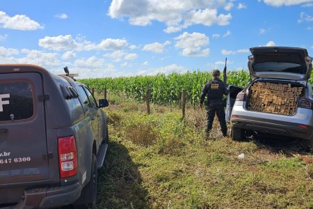 Veículo furtado em Pernambuco é apreendido com uma tonelada de drogas