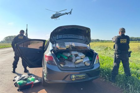 DOF e Denarc apreendem carga de droga avaliada em R$ 1 milhão