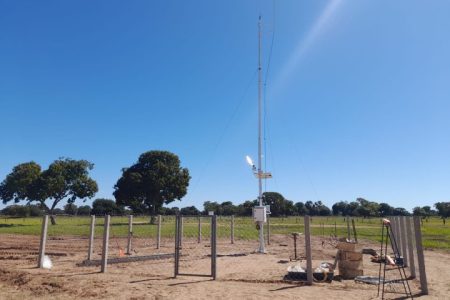 Pantanal da Nhecolândia registra menor temperatura de Mato Grosso do Sul
