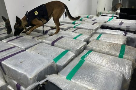 Morador em MS é preso no Rio de Janeiro com caminhão carregado de maconha