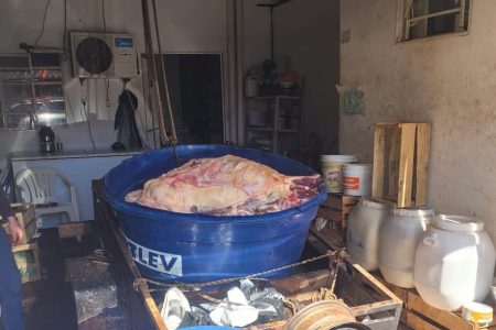 Homens são presos com quase 2t de carnes impróprias para consumo