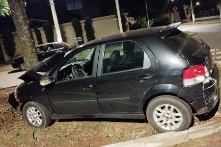 Motorista morre depois de bater o carro em uma árvore