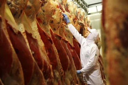 Produção animal cresce no 1º trimestre de 2025 e reforça força do agronegócio