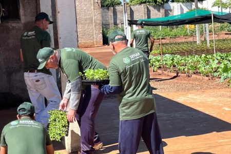 Capacitação em horticultura em presídio gera alimentos para instituições assistenciais