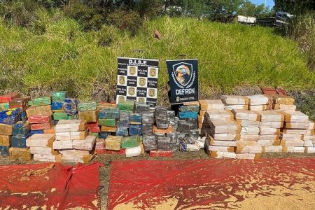 DEFRON e DISE apreendem mais de 7 toneladas de maconha em São Paulo