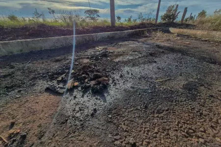 Suspeito de matar mãe e filha é preso ao tentar registrar desaparecimento