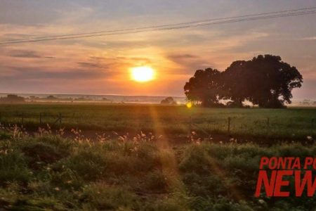 Sexta-feira começa com nevoeiro, mas sol aparece e máxima não passa dos 16ºC