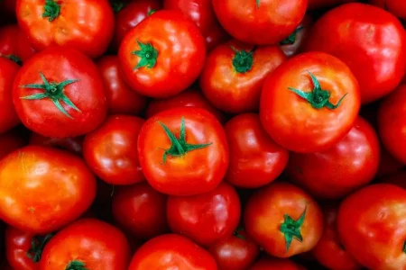 Tomate sofre queda nos preços com avanço da safra e baixa demanda