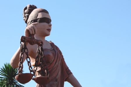 Homem é condenado em R$ 141 mil por manter filhotes de papagaio em cativeiro