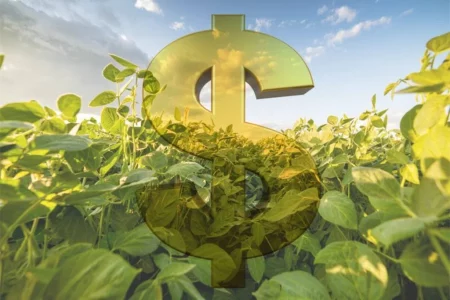 Tributação das LCAs ameaça financiamento ao agro, aponta CNA