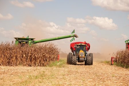 Área de soja para a safra 25/26 cresce ‘na teoria’, mas desânimo toma conta do campo