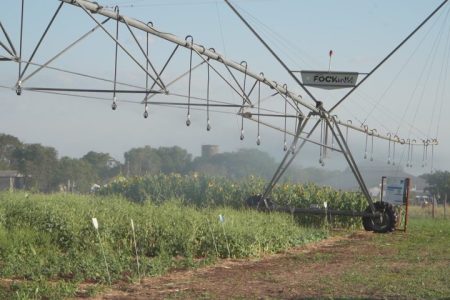 Vitrines Tecnológicas do Pantanal Tech MS trazem inovação a serviço da sustentabilidade no bioma
