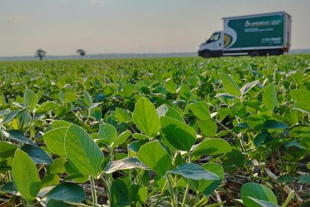 Dourados sediará 12º Encontro Nacional da Soja em agosto