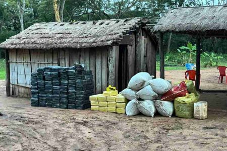 Senad destrói centro de produção de maconha na fronteira com Mundo Novo