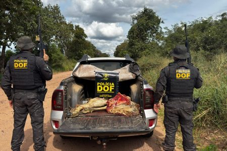Cinco pessoas são presas pelo DOF acusadas de furto de animais em Corumbá