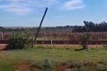 Presença de onça assusta moradores no distrito de Nova Itamarati, em Ponta Porã