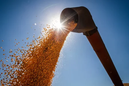 Brasil poderá ter novo recorde na produção de grãos na safra 2024/2025
